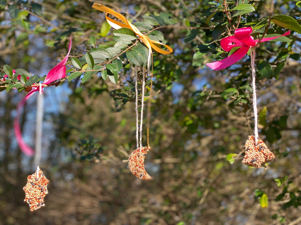 DIY Birdseed Ornaments by The New Moon Workshop
